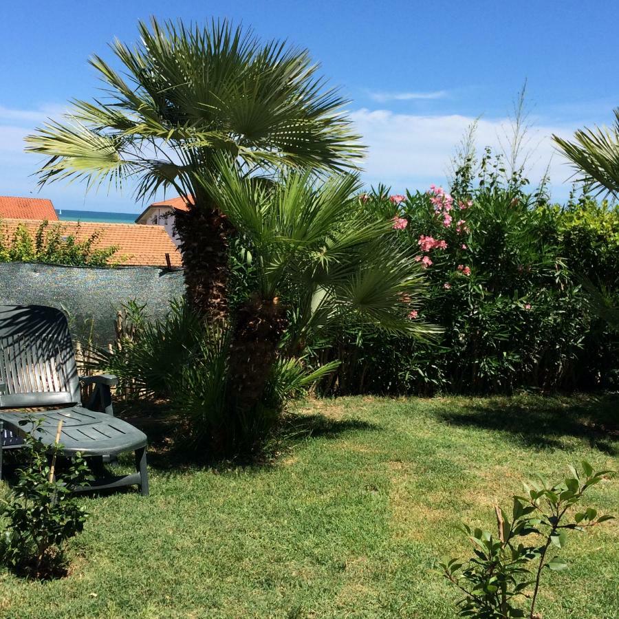 Casa "La Conchiglia" Bed & Breakfast Civitanova Marche Bagian luar foto